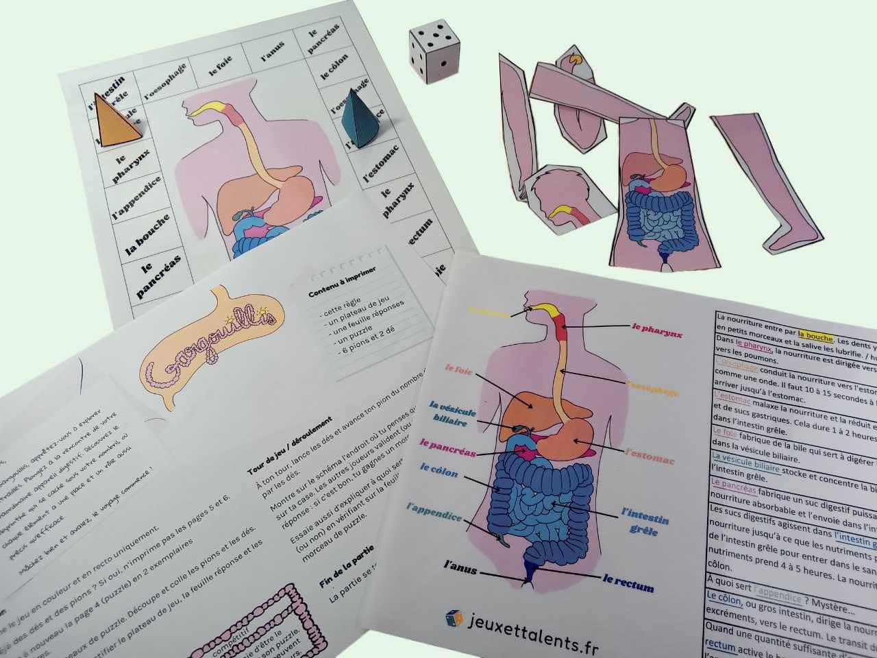 plateau règle du jeu pions dé puzzle réponses